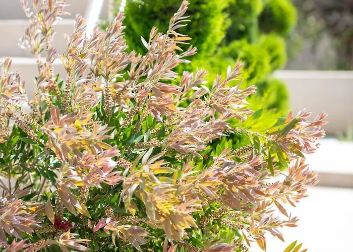 Sithonia Luxury Daire Nikiti (Sithonia)